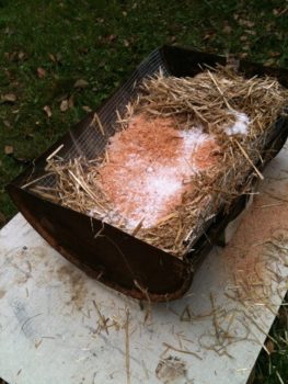 Loading barrel with straw and salt.